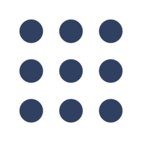 L1.5/safety_master_plugin